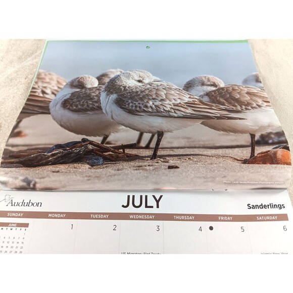 Audubon Society 2024 Wall Calendar 12 Months Protecting Birds and Nature - Picture 8 of 12